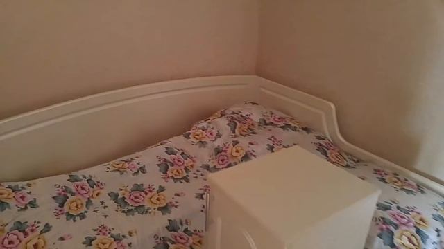 Кошачий VLOG: Когтеточка своими руками, поход в Фелинариум, играем с шарами смотреть онлайн