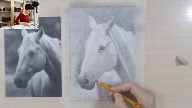 Как нарисовать лошадь карандашом смотреть онлайн