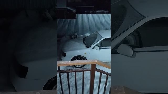 Шерхан Х1 на Nissan Bluebird U14 смотреть онлайн