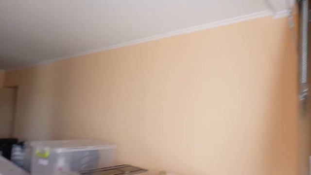 VLOG Квест на День Рождения брата смотреть онлайн