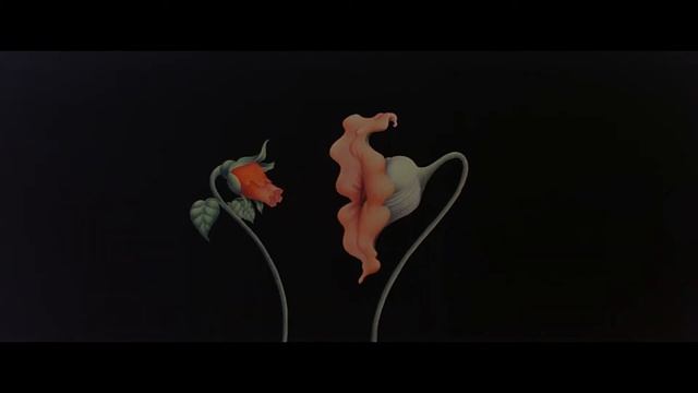 Pink Floyd.The Wall-отрывок о женщинах... смотреть онлайн