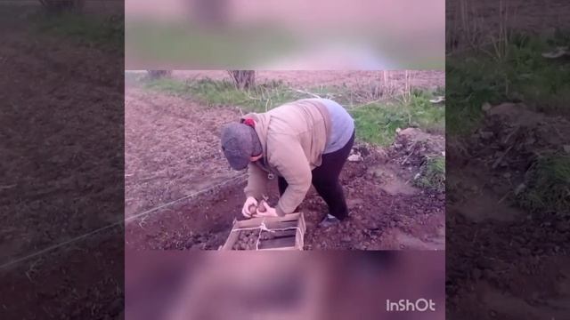 Праздничные дни с пользой для дома и вдохновенного отдыха души с природой! 20.03.23 смотреть онлайн