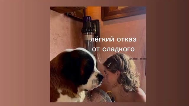 легкий отказ от сладкого/sub#саблиминал смотреть онлайн