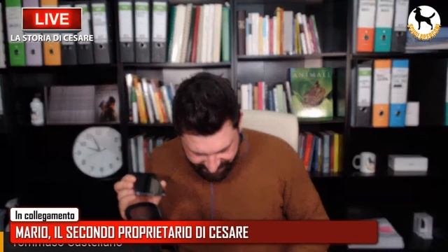 LA STORIA DI CESARE смотреть онлайн