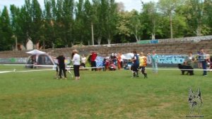 НЕМЕЦКИЙ ДОГ. Плюсы и минусы породы Great Dane