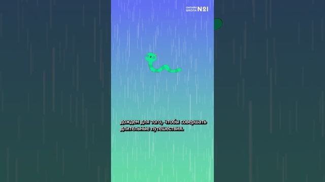 Почему дождевые черви вылезают во время дождя на поверхность? смотреть онлайн