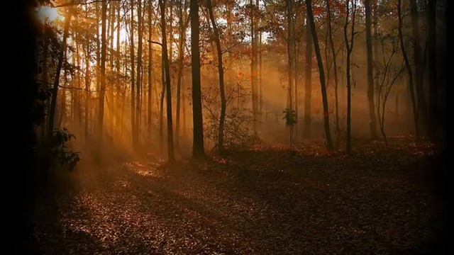 MOZART'S FINAL PIANO CONCERTO - No. 27 in B flat major, Allegro (first movement) смотреть онлайн