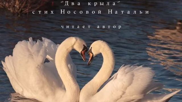 Два крыла. Стихотворение Носовой Натальи. Читает автор смотреть онлайн