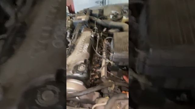 Двигатель HONDA DOMANI MB3-1303774 смотреть онлайн