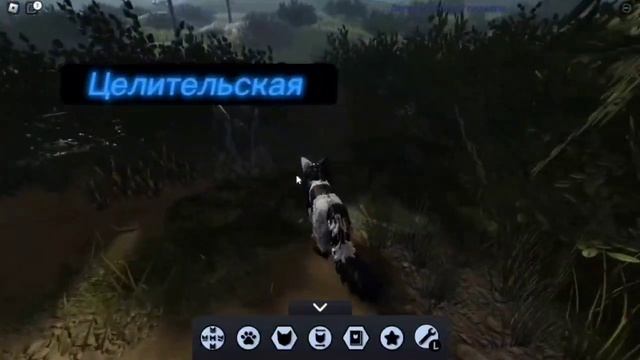 ОБЗОР НА ОБНОВЛЕНИЕ *На территорию* В КОТАХ ВОИТЕЛЯХ ROBLOX! смотреть онлайн