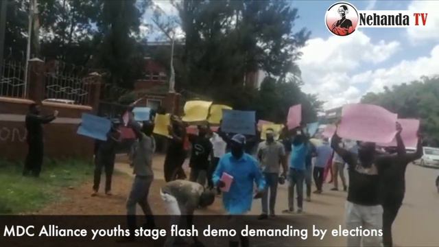 MDC Alliance youths stage flash demo demanding by elections смотреть онлайн