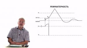 Евсеев А.В. Нормальная физиология. Лекция №4. Рефрактерность. Лабильность. 2023