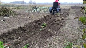 ОСЕННЯЯ ВСПАШКА МОТОБЛОКОМ С АДАПТЕРОМ 2020 / ЭКСПЕРЕМЕНТ С БОРОНОЙ