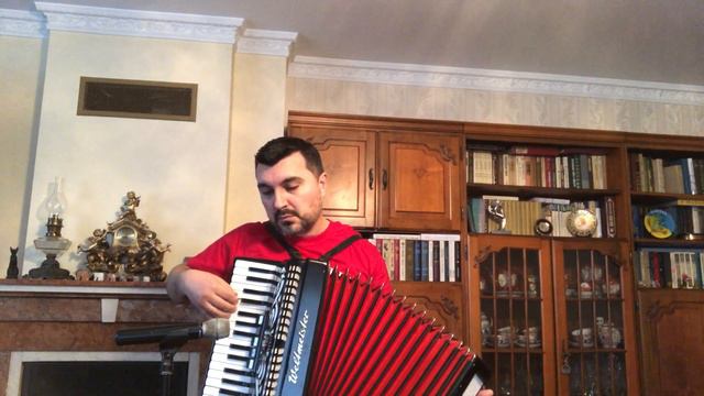 Song from a Secret Garden - Volodymyr Okilko смотреть онлайн