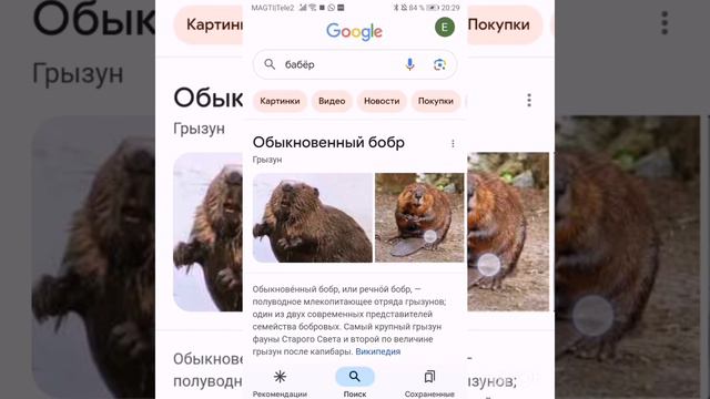 интересные вещи в гугле о животных смотреть онлайн
