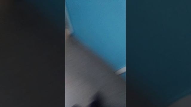 Ломаем дверь в мужской туалет с Семёном смотреть онлайн