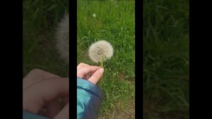 Песня бейбе нам правда не нужна виза мы с тобой на чиле как цыгане из  Парижа