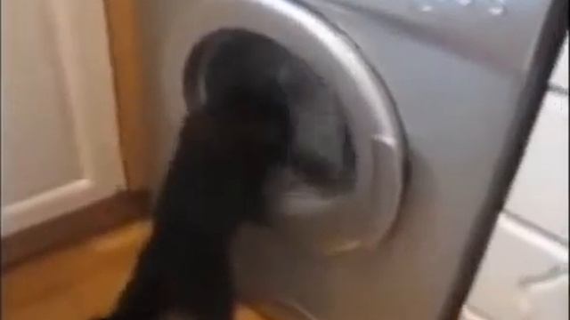 Лучшие прикол СТИРКА