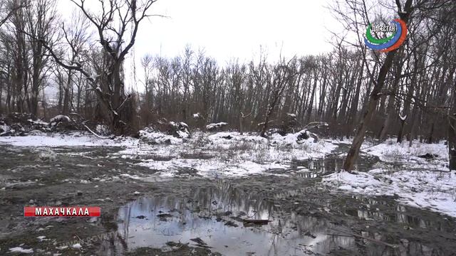 Эльтавский лес получил статус особо охраняемой зоны смотреть онлайн