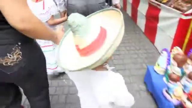 Waarom dragen ze in Mexico zo'n grote hoed? смотреть онлайн