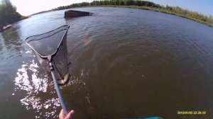 рыбалка от первого лица Пироговка Ахтуба поплавочная удочка