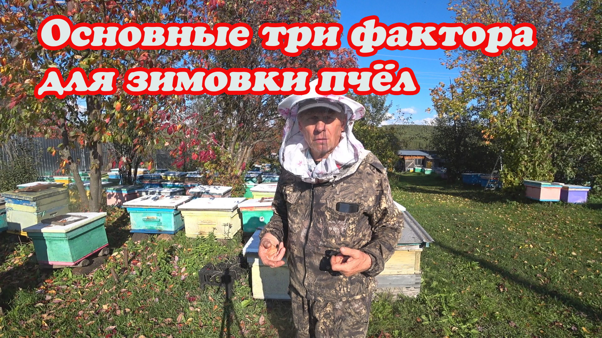 ОСНОВНЫЕ ТРИ ФАКТОРА ДЛЯ ЛУЧШЕЙ ЗИМОВКИ, ПЧЕЛОВОД СДЕЛАЙ ЭТО И БУДЬ СПОКОЕН. смотреть онлайн