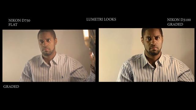 Nikon D750 vs Nikon D3100 Flat Video Lumetri Looks 1080p x смотреть онлайн