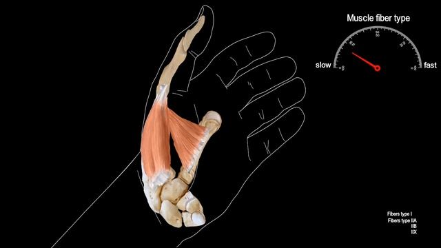 The Chopin Method: Piano lesson 6. The thumb. смотреть онлайн