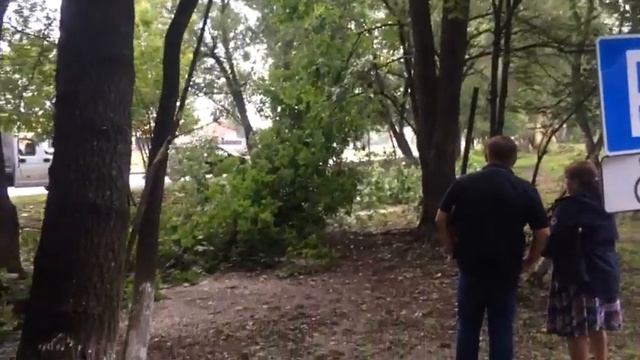 Вырубка деревьев на улице Электрификации в Люберцах смотреть онлайн