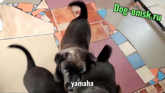 Теперь у них есть имена! смотреть онлайн