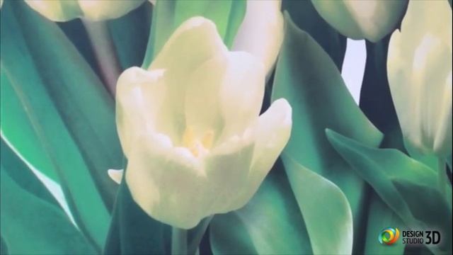 Отзыв на 3D Фотообои 