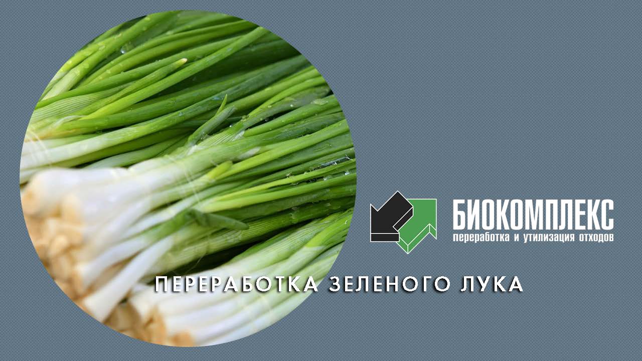 Переработка зеленого лука смотреть онлайн