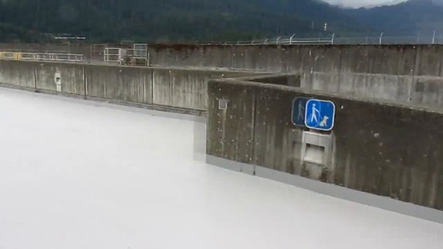 второй день ловли селёдки .прогулка по дамбе , смотровое окно. fish ladder window смотреть онлайн