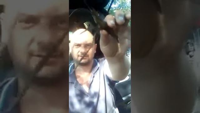 Креветка в реке Аксай Новочеркасск смотреть онлайн