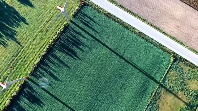 नीदरलैंड बिल्कुल अलग देश #Netherlands #Netherlandsfacts Netherlands के बारे में जानकारी смотреть онлайн