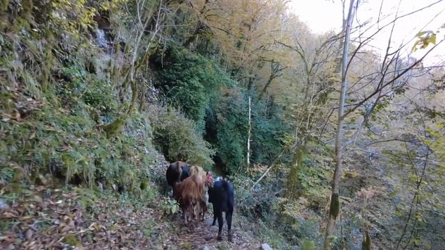 Обзор DJI Osmo Pocket – 2 Creator Combo