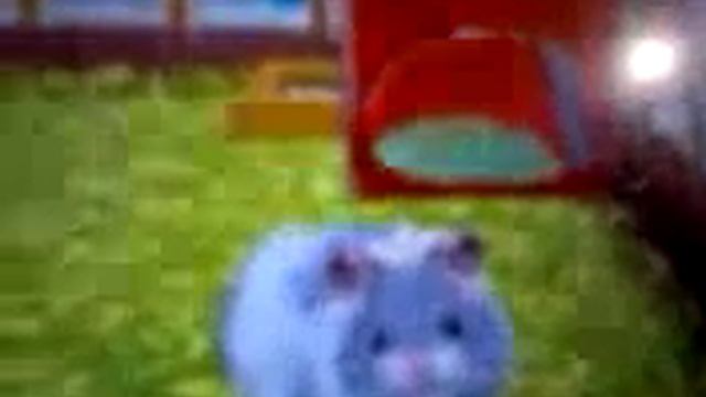 Playing Hamsterz Life With My Pet Jessie смотреть онлайн