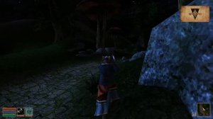 Мэддисон прошел The Elder Scrolls III: Morrowind