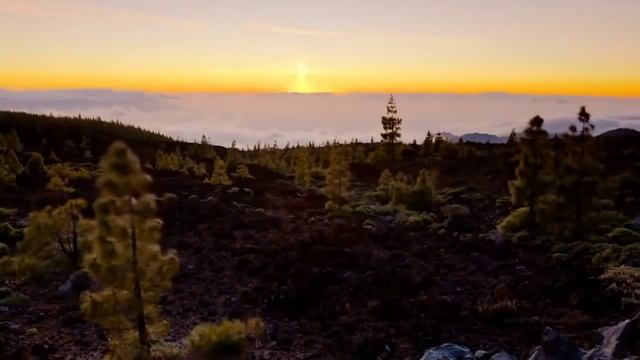 Суть медитации: для чего она нужна? смотреть онлайн