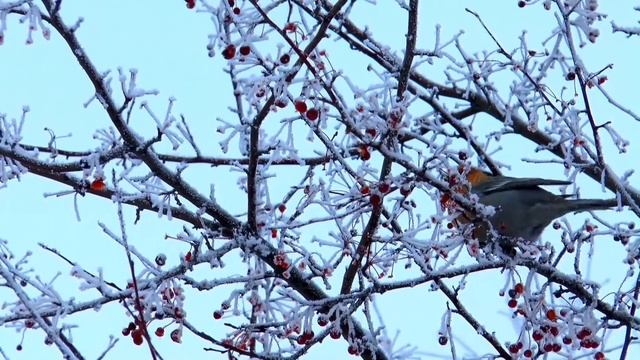 Шепотки на счастье и удачу говорите каждое утро. смотреть онлайн