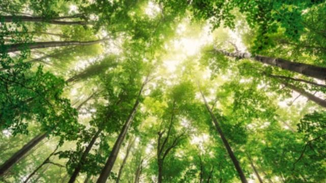 А.В.Клюев-Процесс Духовной Эволюции - слух, мышление, речь, вкус, вибрации человека, перспективы 3/ смотреть онлайн