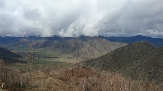 МАЙСКИЕ АЛТАЙСКИЕ смотреть онлайн