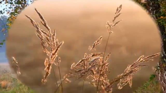 Осенний блюз   сл В Проходы, муз Н Кузьмича   Жогло