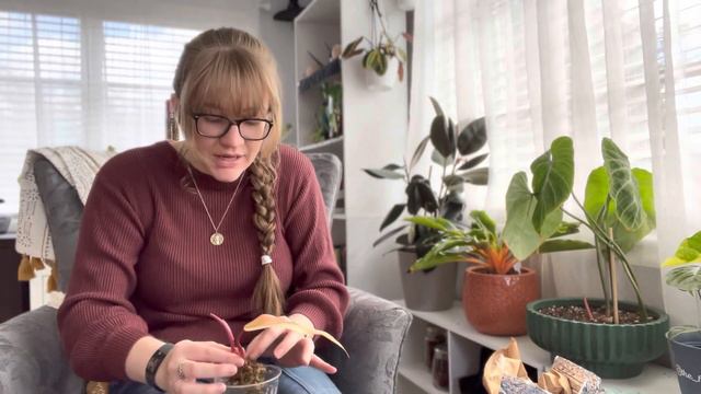 Wishlist Unboxing GONE WRONG!￼ I Bought Wishlist Houseplants