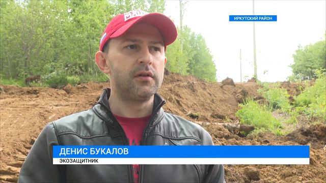 Сохранить рощу