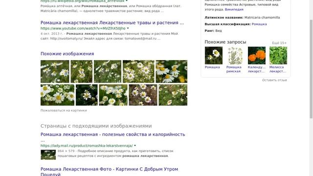 naytipohozhuyukartinku - поиск дубликатов картинок ,ищем похожие картинки смотреть онлайн