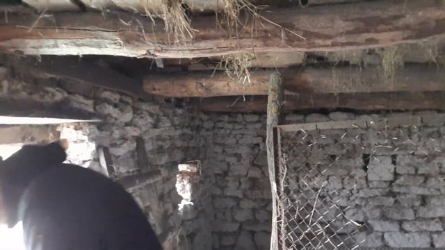 В деревне всегда есть чем заняться 3 смотреть онлайн
