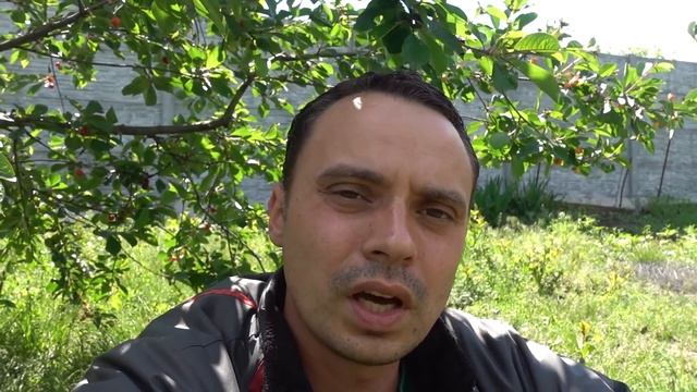 УКУСИЛ КЛЕЩ! ЧТО ДЕЛАТЬ? КУДА БЕЖАТЬ? БОЛЕЗНЬ ЛАЙМА (КЛЕЩЕВОЙ БОРРЕЛИОЗ) смотреть онлайн