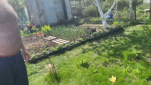 65❤️ Спа-салон для хвостиков, варенье из одуванчиков. Покос травы....Дела дачные, дни счастливые. смотреть онлайн