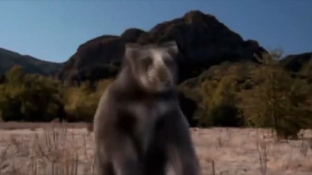 10 Prehistoric Animals That Could Still Exist! смотреть онлайн